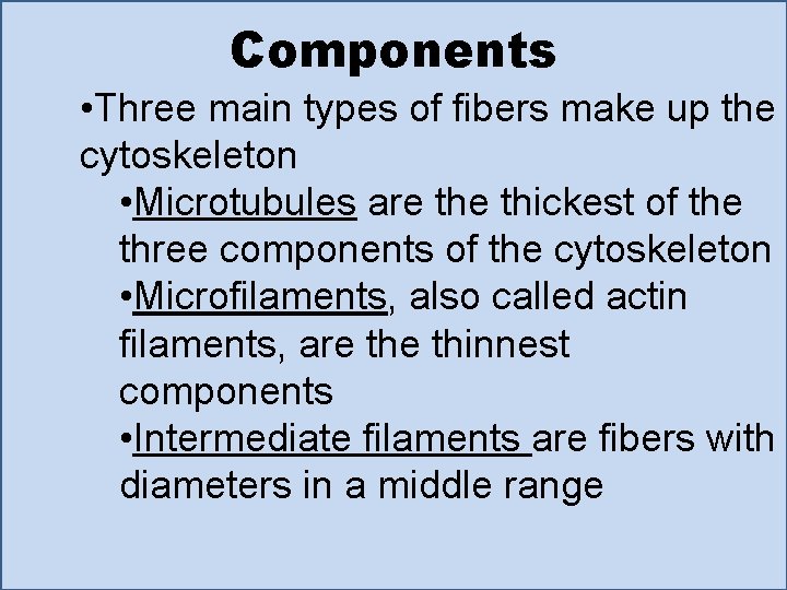 Components • Three main types of fibers make up the cytoskeleton • Microtubules are