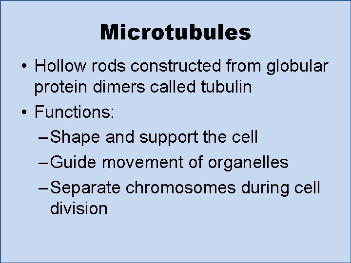 Microtubules • Hollow rods constructed from globular protein dimers called tubulin • Functions: –