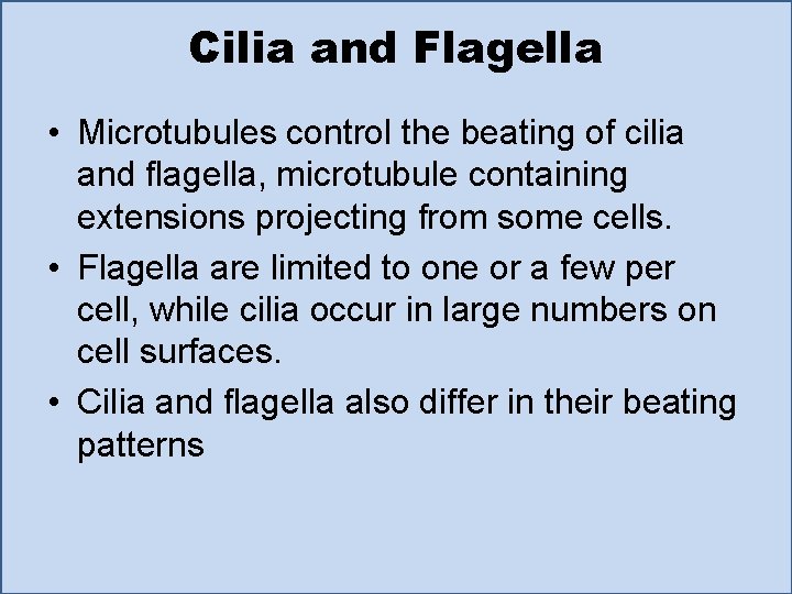 Cilia and Flagella • Microtubules control the beating of cilia and flagella, microtubule containing