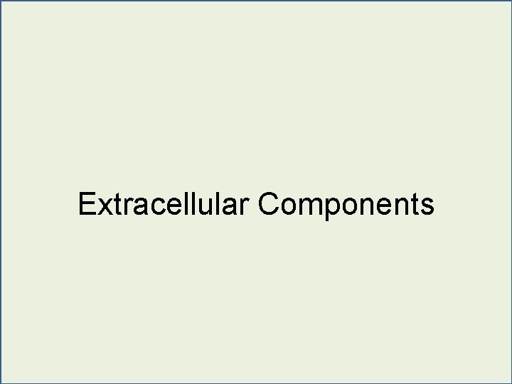 Extracellular Components 
