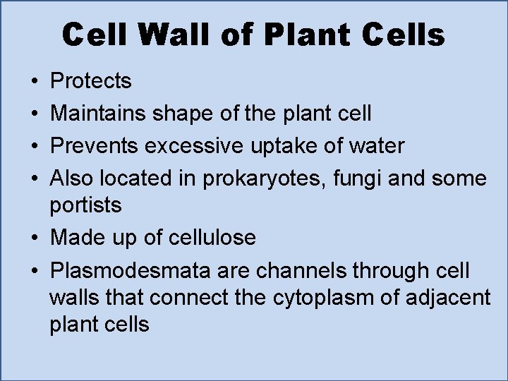 Cell Wall of Plant Cells • • Protects Maintains shape of the plant cell