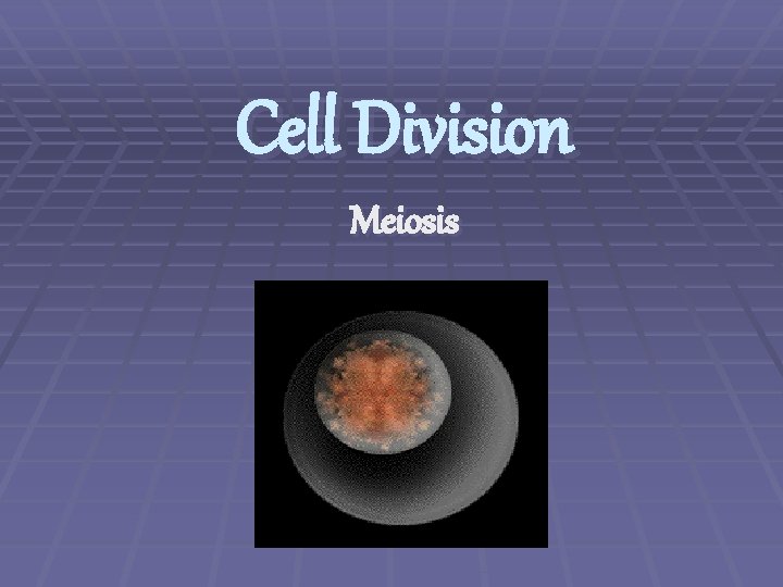 Cell Division Meiosis 