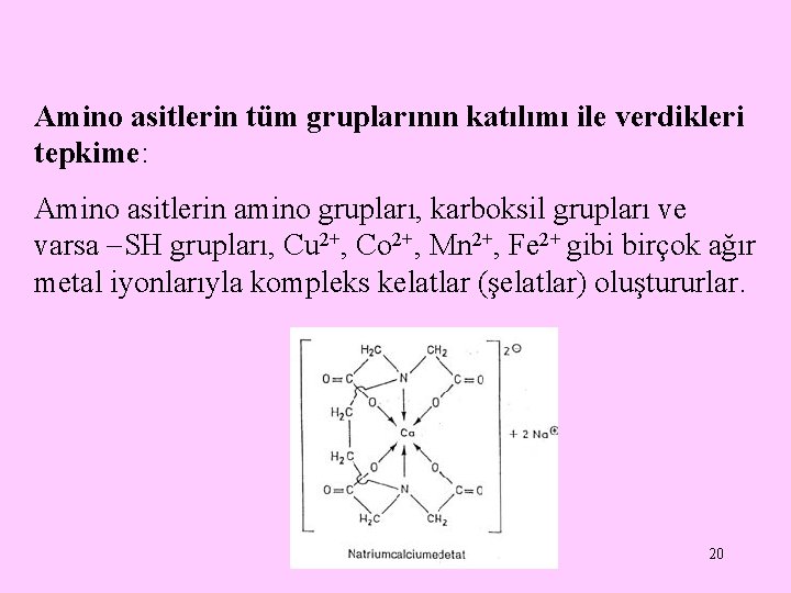 Amino asitlerin tüm gruplarının katılımı ile verdikleri tepkime: Amino asitlerin amino grupları, karboksil grupları Amino asitlerin tüm gruplarının katılımı ile verdikleri tepkime: Amino asitlerin amino grupları, karboksil grupları