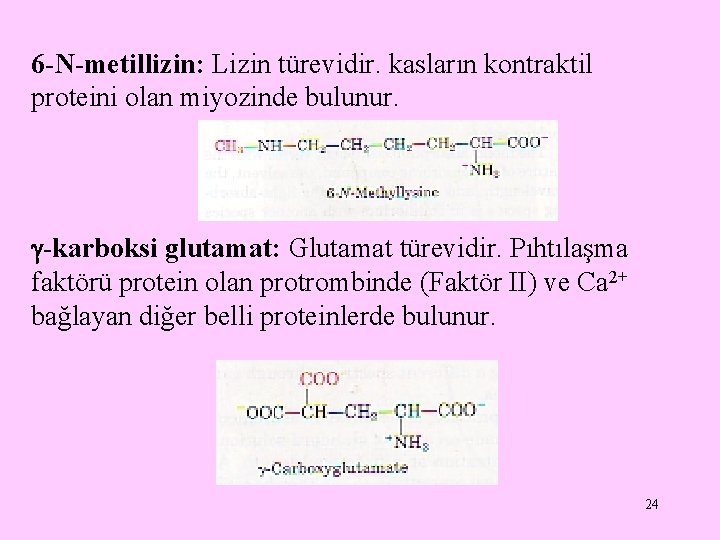 6 -N-metillizin: Lizin türevidir. kasların kontraktil proteini olan miyozinde bulunur. -karboksi glutamat: Glutamat türevidir. 6 -N-metillizin: Lizin türevidir. kasların kontraktil proteini olan miyozinde bulunur. -karboksi glutamat: Glutamat türevidir.