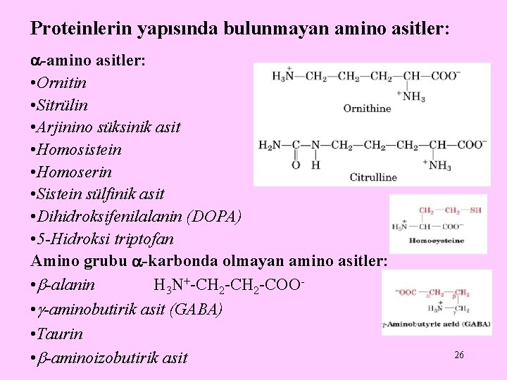 Proteinlerin yapısında bulunmayan amino asitler: -amino asitler: • Ornitin • Sitrülin • Arjinino süksinik Proteinlerin yapısında bulunmayan amino asitler: -amino asitler: • Ornitin • Sitrülin • Arjinino süksinik