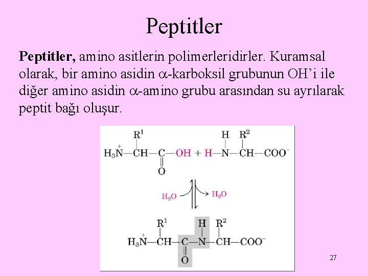 Peptitler, amino asitlerin polimerleridirler. Kuramsal olarak, bir amino asidin -karboksil grubunun OH’i ile diğer Peptitler, amino asitlerin polimerleridirler. Kuramsal olarak, bir amino asidin -karboksil grubunun OH’i ile diğer
