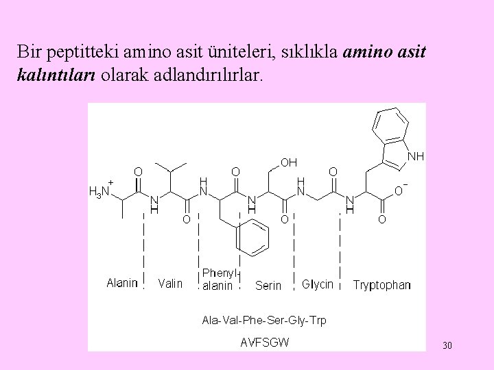 Bir peptitteki amino asit üniteleri, sıklıkla amino asit kalıntıları olarak adlandırılırlar. 30 Bir peptitteki amino asit üniteleri, sıklıkla amino asit kalıntıları olarak adlandırılırlar. 30