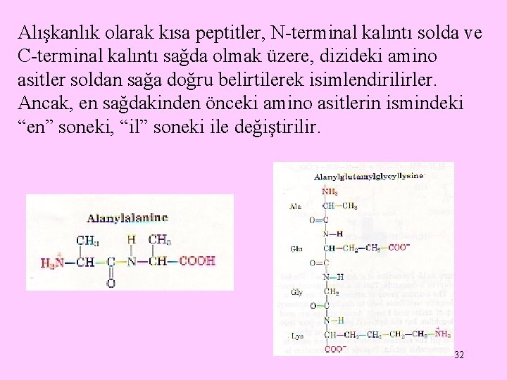 Alışkanlık olarak kısa peptitler, N-terminal kalıntı solda ve C-terminal kalıntı sağda olmak üzere, dizideki Alışkanlık olarak kısa peptitler, N-terminal kalıntı solda ve C-terminal kalıntı sağda olmak üzere, dizideki