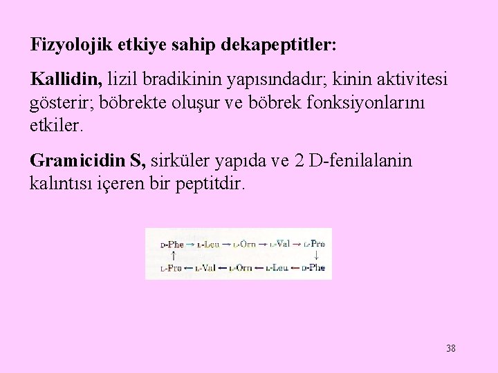 Fizyolojik etkiye sahip dekapeptitler: Kallidin, lizil bradikinin yapısındadır; kinin aktivitesi gösterir; böbrekte oluşur ve Fizyolojik etkiye sahip dekapeptitler: Kallidin, lizil bradikinin yapısındadır; kinin aktivitesi gösterir; böbrekte oluşur ve