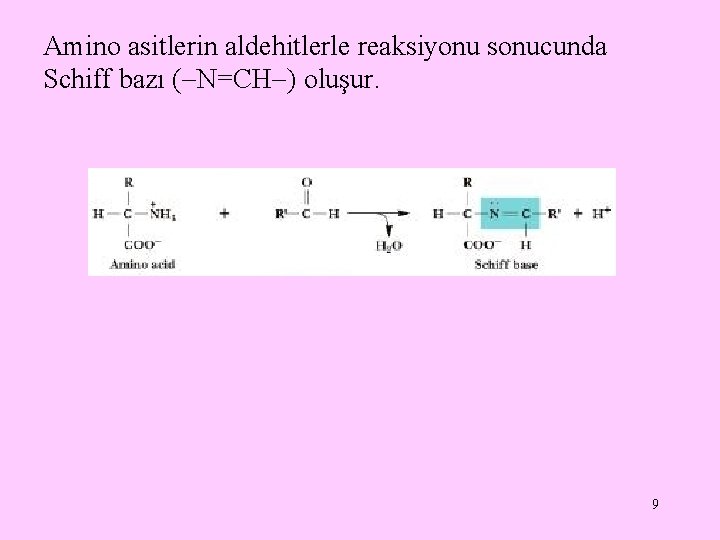 Amino asitlerin aldehitlerle reaksiyonu sonucunda Schiff bazı ( N=CH ) oluşur. 9 Amino asitlerin aldehitlerle reaksiyonu sonucunda Schiff bazı ( N=CH ) oluşur. 9