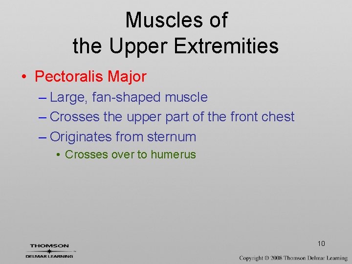 Muscles of the Upper Extremities • Pectoralis Major – Large, fan-shaped muscle – Crosses