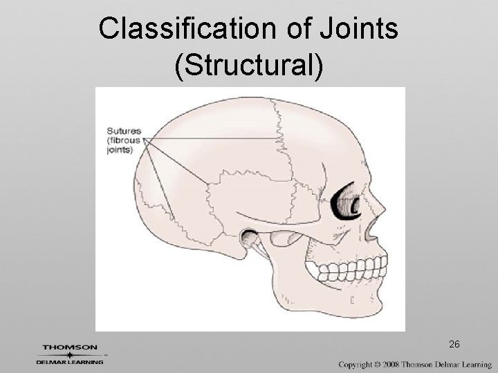 Classification of Joints (Structural) 26 