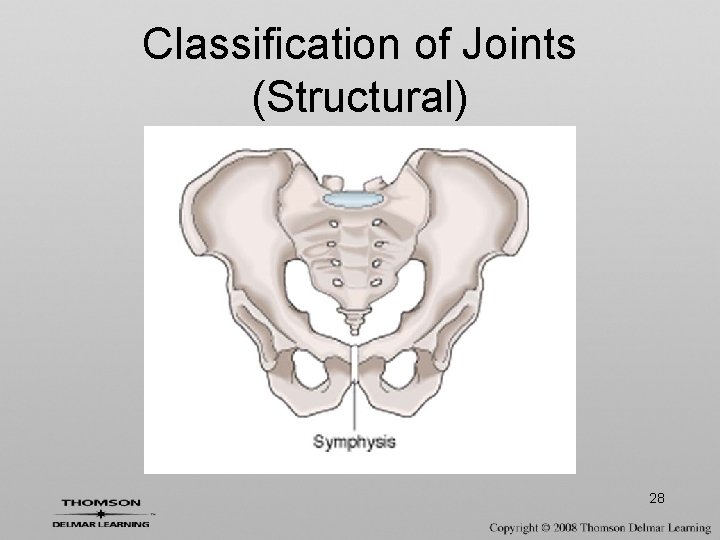 Classification of Joints (Structural) 28 