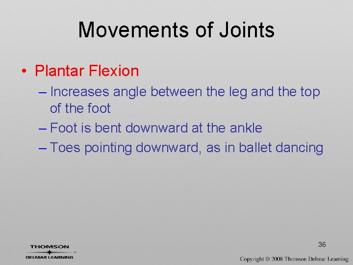 Movements of Joints • Plantar Flexion – Increases angle between the leg and the