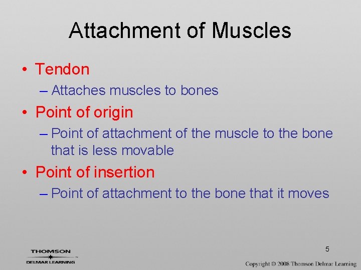 Attachment of Muscles • Tendon – Attaches muscles to bones • Point of origin