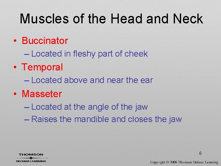 Muscles of the Head and Neck • Buccinator – Located in fleshy part of