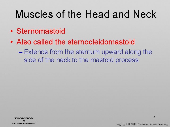 Muscles of the Head and Neck • Sternomastoid • Also called the sternocleidomastoid –