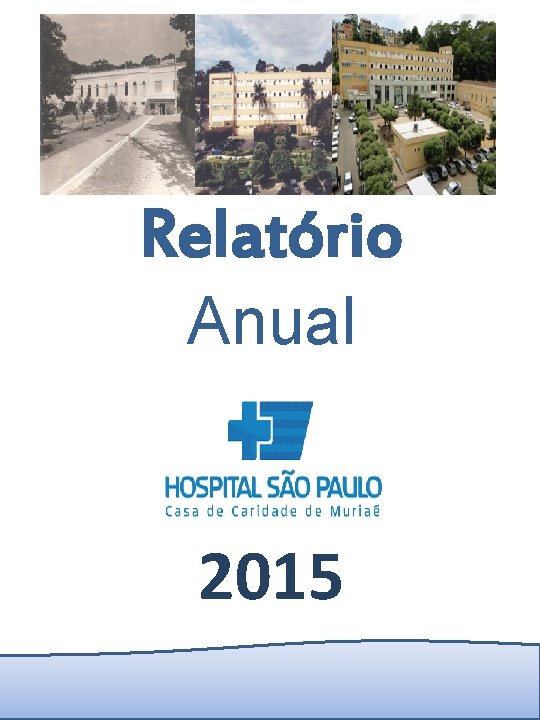 Relatório Anual 2015 