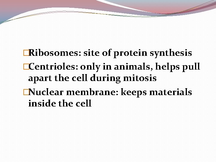 �Ribosomes: site of protein synthesis �Centrioles: only in animals, helps pull apart the cell