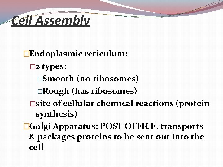 Cell Assembly �Endoplasmic reticulum: � 2 types: �Smooth (no ribosomes) �Rough (has ribosomes) �site