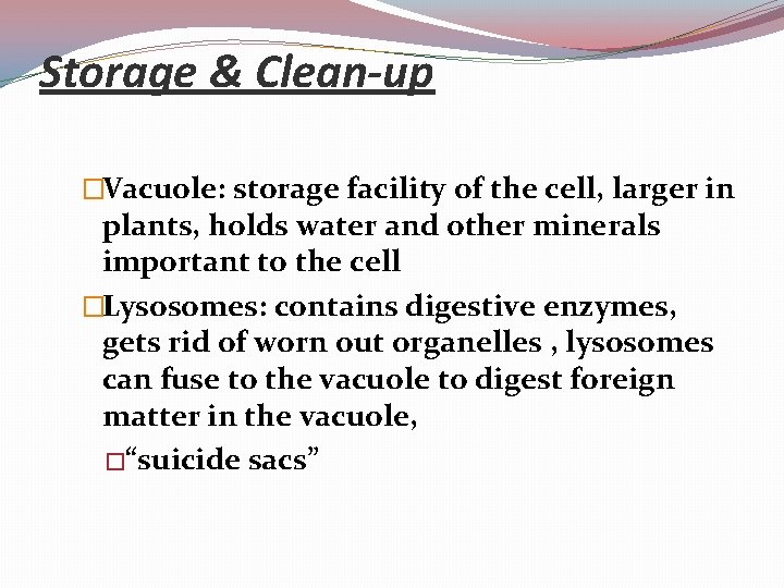 Storage & Clean-up �Vacuole: storage facility of the cell, larger in plants, holds water
