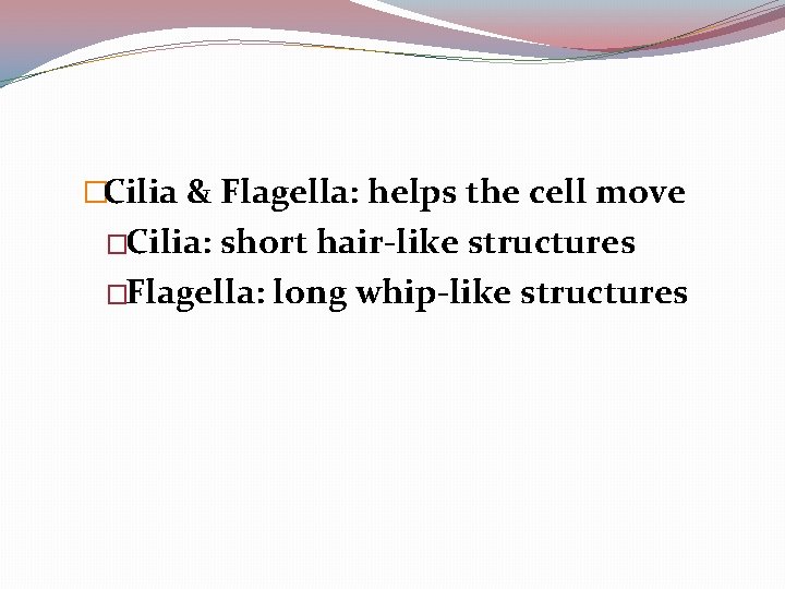 �Cilia & Flagella: helps the cell move �Cilia: short hair-like structures �Flagella: long whip-like