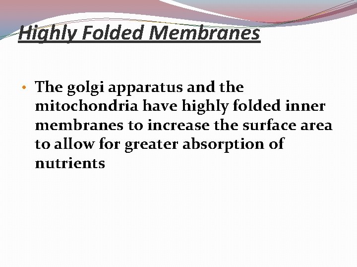 Highly Folded Membranes • The golgi apparatus and the mitochondria have highly folded inner