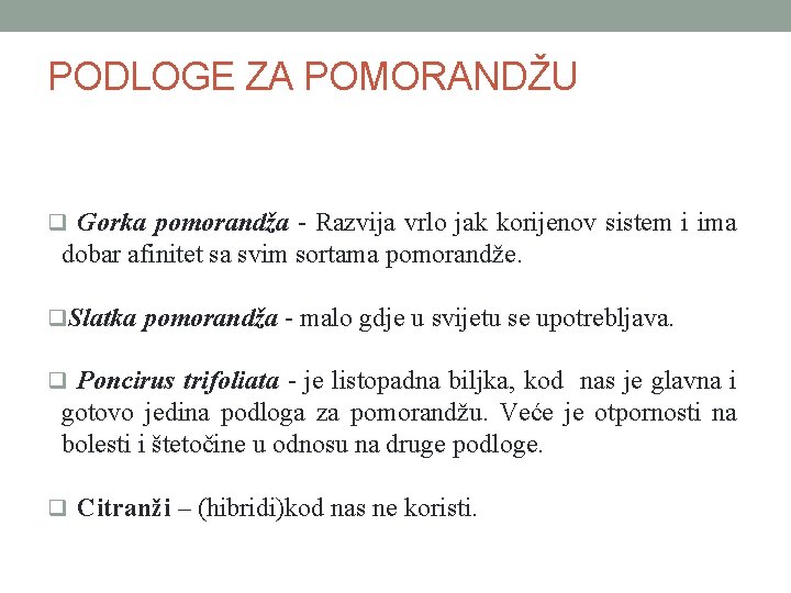 PODLOGE ZA POMORANDŽU q Gorka pomorandža - Razvija vrlo jak korijenov sistem i ima