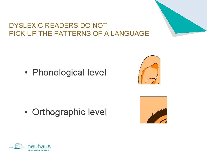 DYSLEXIC READERS DO NOT PICK UP THE PATTERNS OF A LANGUAGE • Phonological level