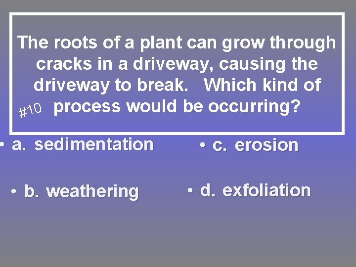 The roots of a plant can grow through cracks in a driveway, causing the