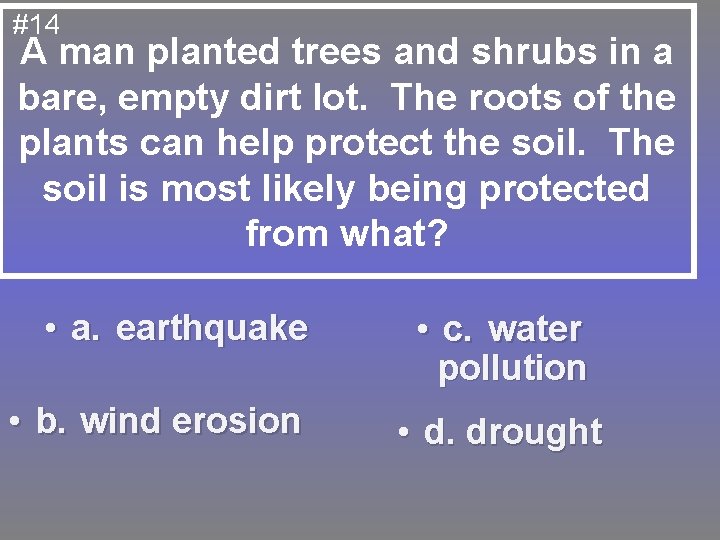 #14 A man planted trees and shrubs in a bare, empty dirt lot. The