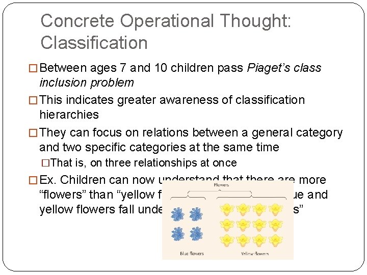 Concrete Operational Thought: Classification � Between ages 7 and 10 children pass Piaget’s class