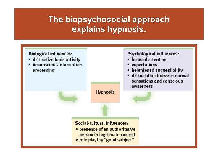 The biopsychosocial approach explains hypnosis. 