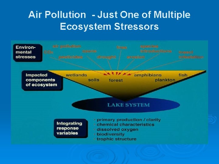 Air Pollution - Just One of Multiple Ecosystem Stressors Air Pollution - Just One of Multiple Ecosystem Stressors