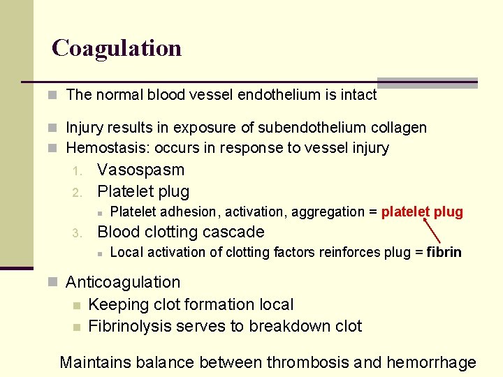 Coagulation n The normal blood vessel endothelium is intact n Injury results in exposure