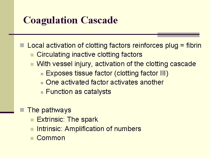 Coagulation Cascade n Local activation of clotting factors reinforces plug = fibrin n n