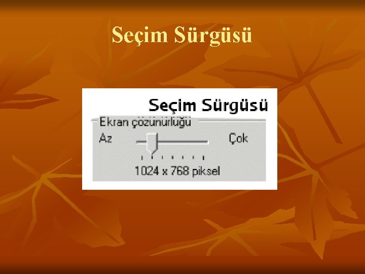 Seçim Sürgüsü 