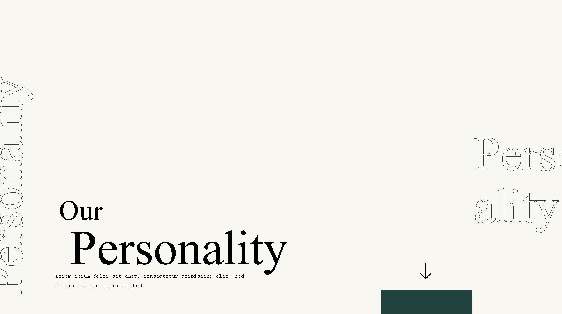 Personality Fashion - Presentation Ready for text here Lorem ipsum dolor sit amet, consectetur