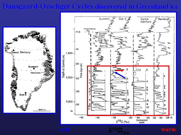 Dansgaard-Oeschger Cycles discovered in Greenland ice cold 18 Oice warm 