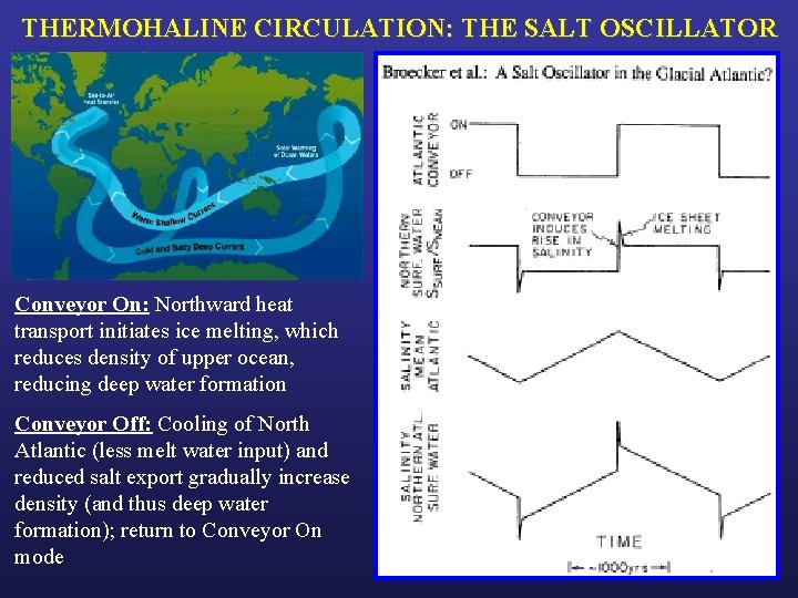 THERMOHALINE CIRCULATION: THE SALT OSCILLATOR Conveyor On: Northward heat transport initiates ice melting, which