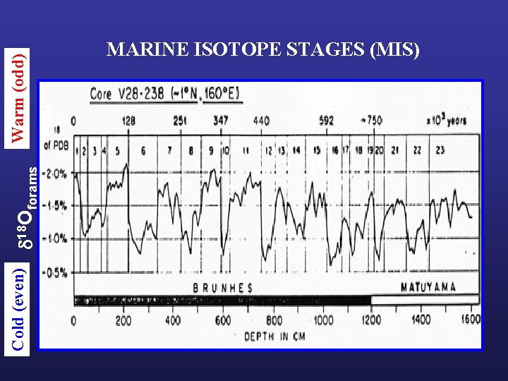 Cold (even) 18 Oforams Warm (odd) MARINE ISOTOPE STAGES (MIS) 