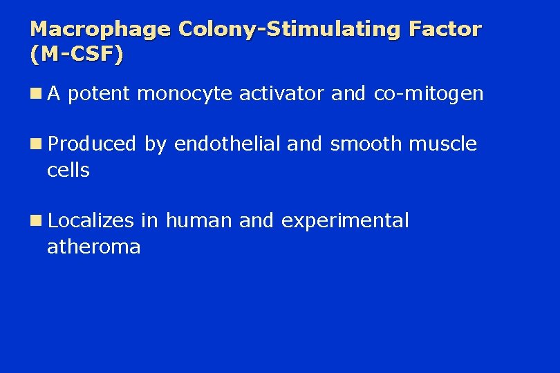 Macrophage Colony-Stimulating Factor (M-CSF) n A potent monocyte activator and co-mitogen n Produced by