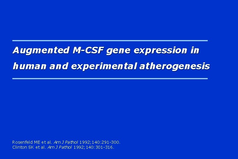 Augmented M-CSF gene expression in human and experimental atherogenesis Rosenfeld ME et al. Am