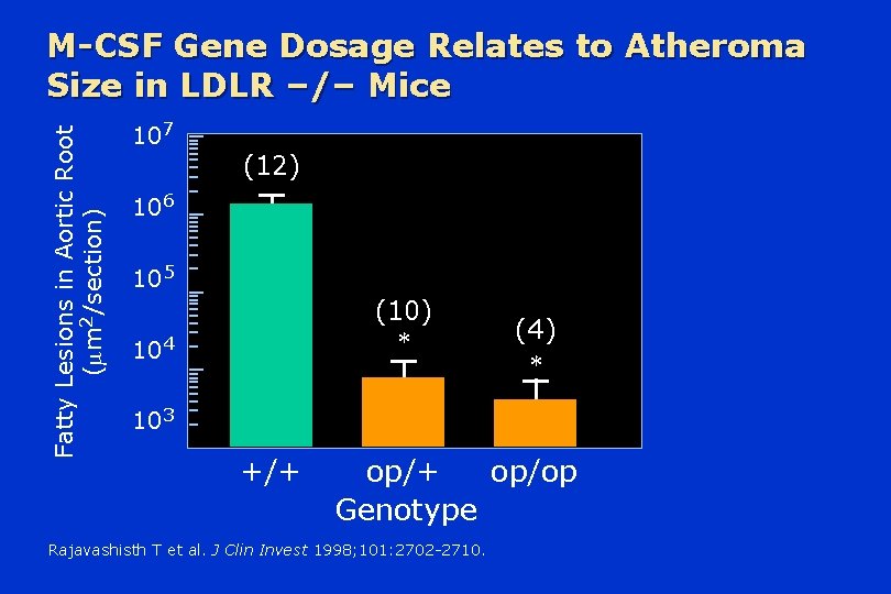 Fatty Lesions in Aortic Root ( m 2/section) M-CSF Gene Dosage Relates to Atheroma