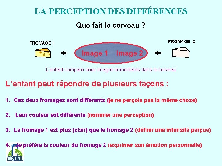 LA PERCEPTION DES DIFFÉRENCES Que fait le cerveau ? FROMAGE 2 FROMAGE 1 Image