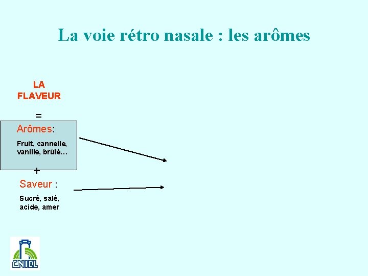 La voie rétro nasale : les arômes LA FLAVEUR = Arômes: Fruit, cannelle, vanille,