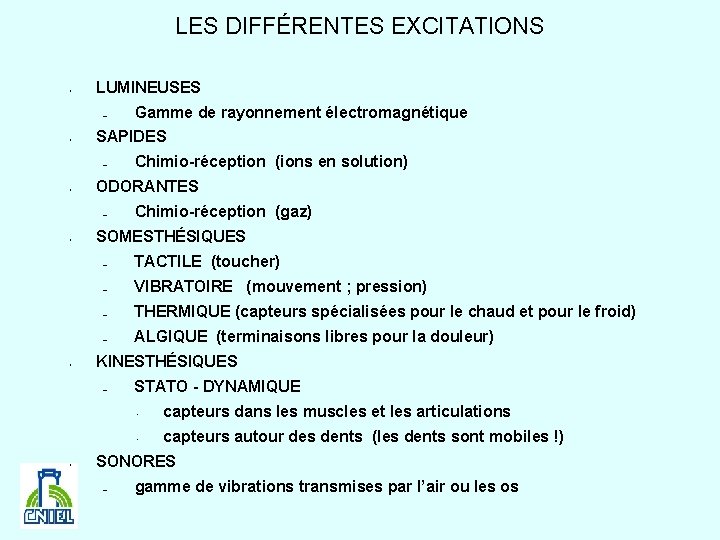 LES DIFFÉRENTES EXCITATIONS • LUMINEUSES – • SAPIDES – • • Chimio-réception (gaz) SOMESTHÉSIQUES