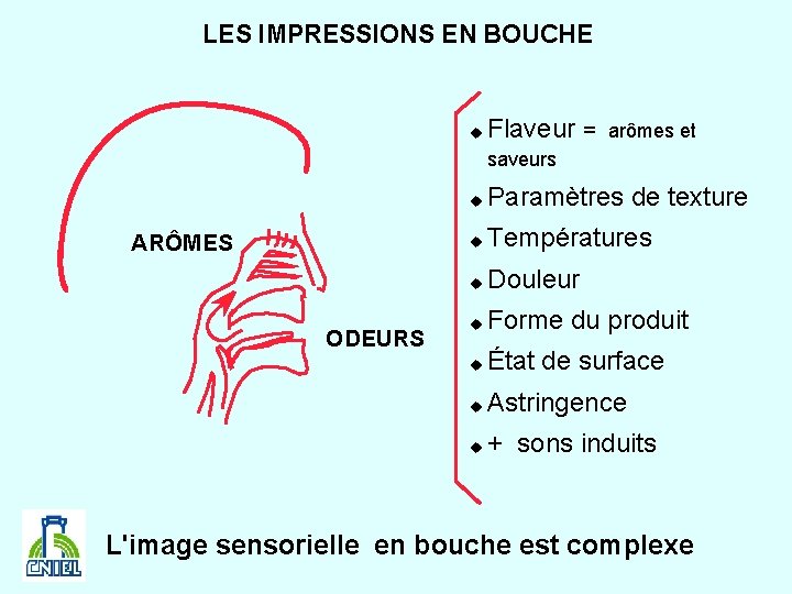 LES IMPRESSIONS EN BOUCHE u Flaveur = arômes et saveurs ARÔMES ODEURS u Paramètres