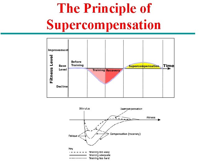 The Principle of Supercompensation 