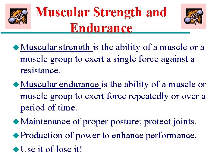 Muscular Strength and Endurance u Muscular strength is the ability of a muscle or